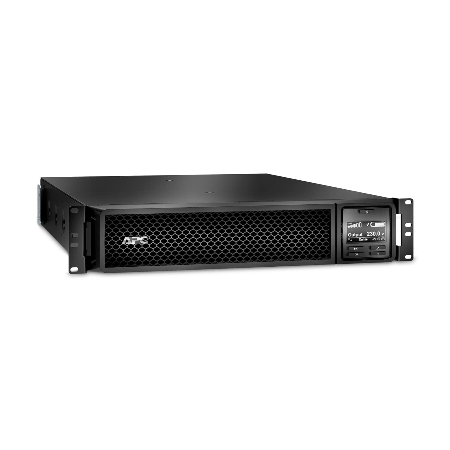 APC SMART-UPS SRT 1000VA RM - ONDULEUR (RACK-MONTABLE) - CA 230 V - 1000 WATT - 1000 VA - RS-232, USB - CONNECTEURS DE SORTIE : 6 - PFC - 2U - NOIR