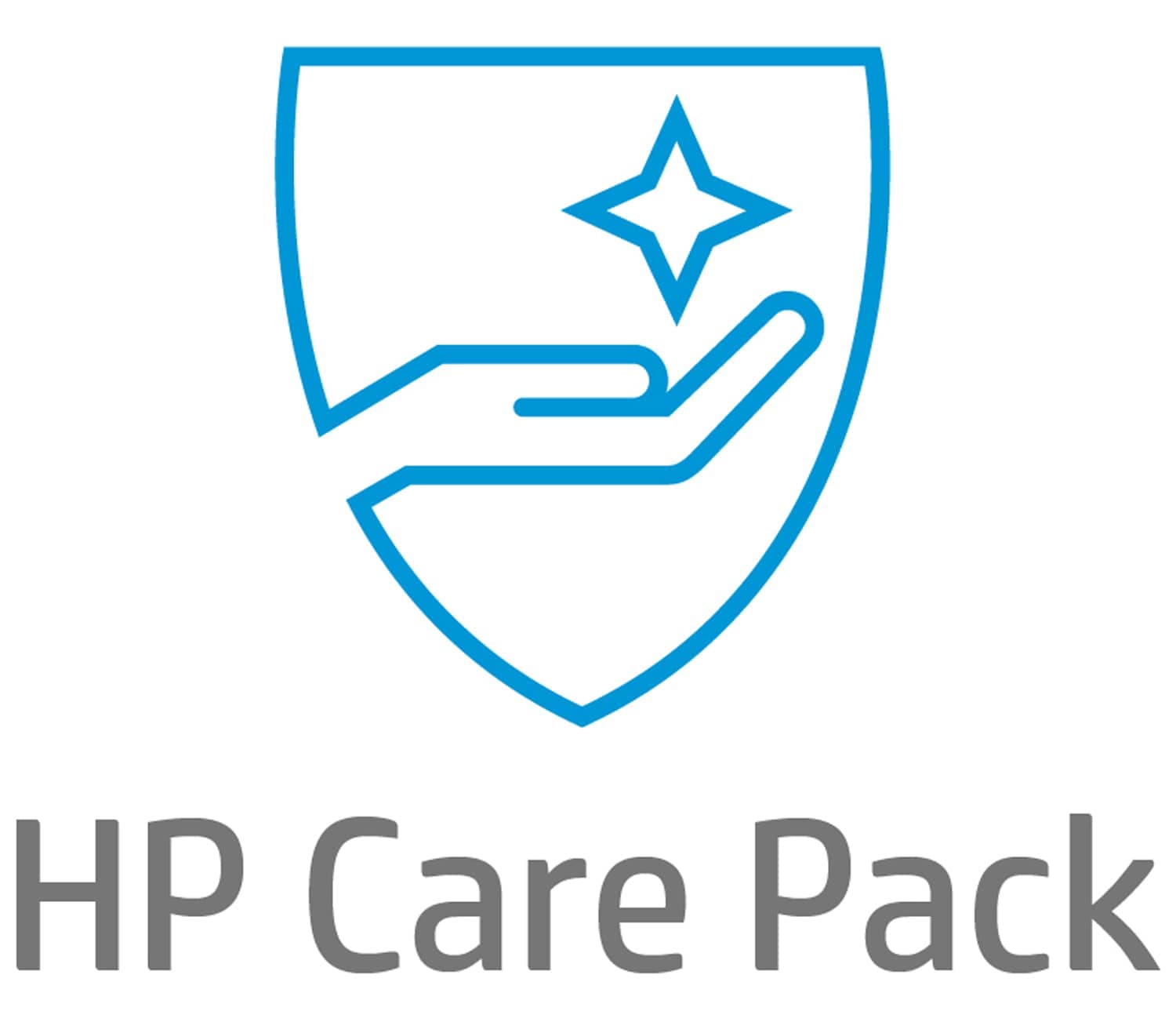 HP INST SVC W/NW WORKGROUP PRINTER
