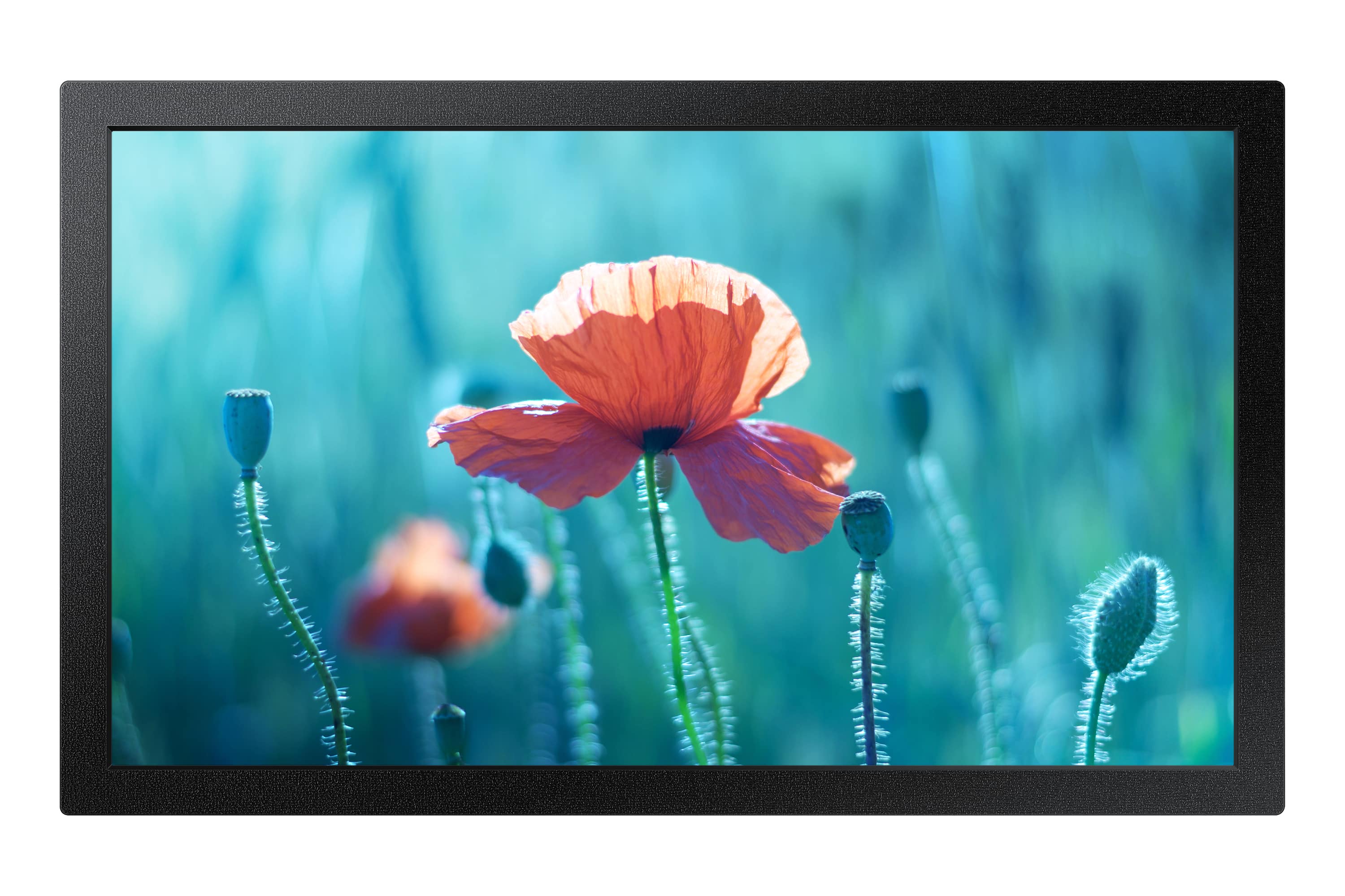 SAMSUNG QB13R-M - CLASSE DE DIAGONALE 13" QBR SERIES LED DISPLAY UNIT - SIGNALISATION NUMÉRIQUE - TIZEN OS - 1080P 1920 X 1080 - NOIR