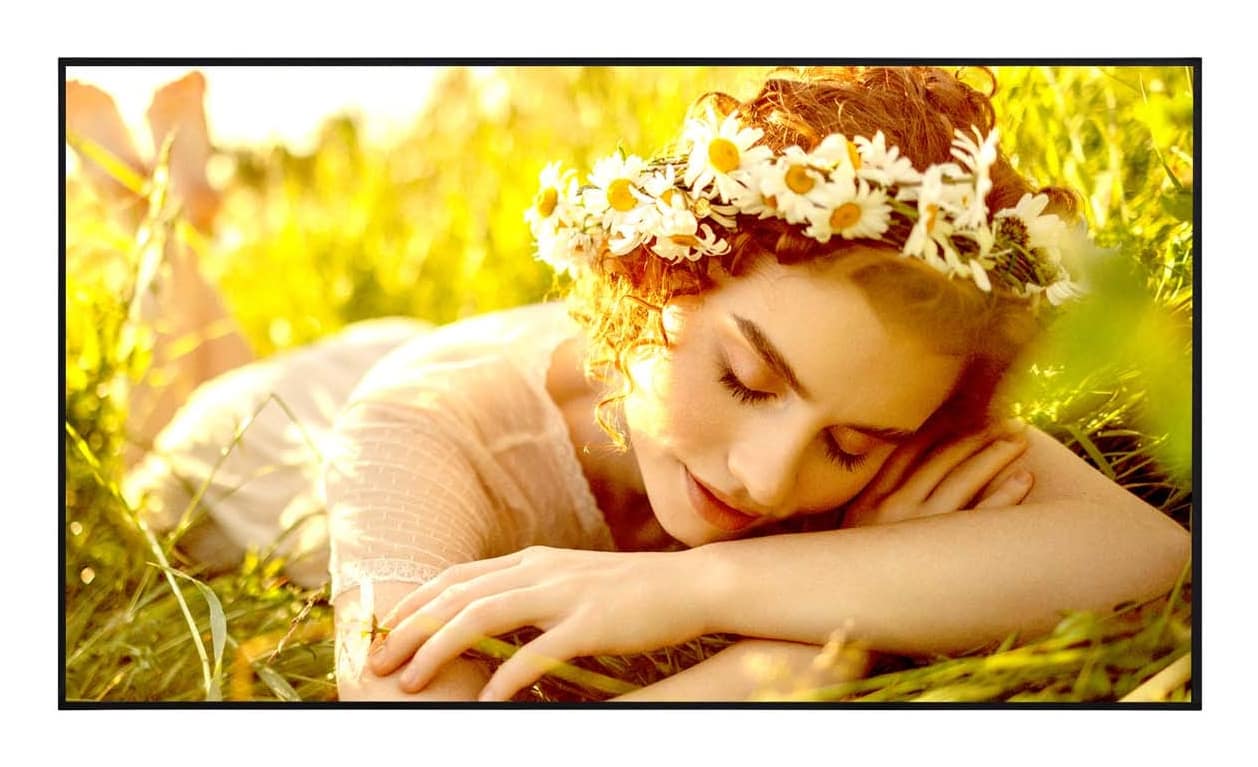 LG 65UL5Q-E - CLASSE DE DIAGONALE 65" UL5Q-E SERIES ÉCRAN LCD RÉTRO-ÉCLAIRÉ PAR LED - SIGNALISATION NUMÉRIQUE AVEC PRO:IDIOM INTÉGRÉ - WEBOS - 4K UHD (2160P) 3840 X 2160 - DIRECT LED - NOIR
